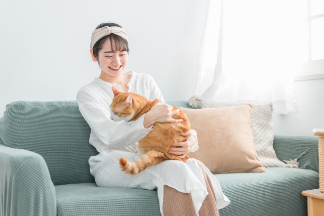 完了の画像